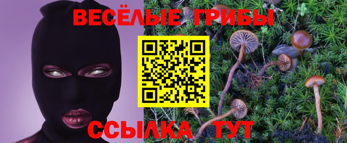 Обнинск  Галлюциногенные грибы Psilocybine cubensis  Вход с VPN 