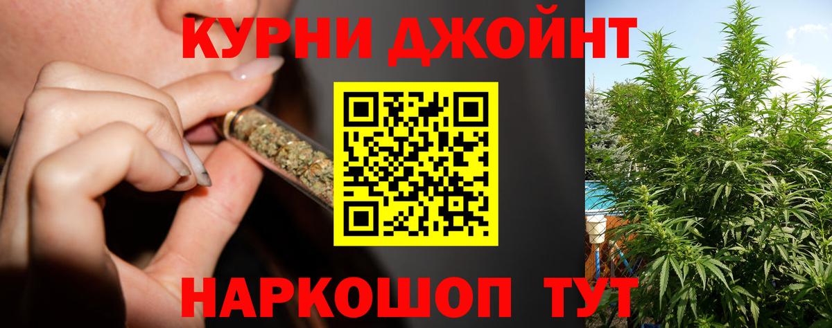 Канабис план Обнинск